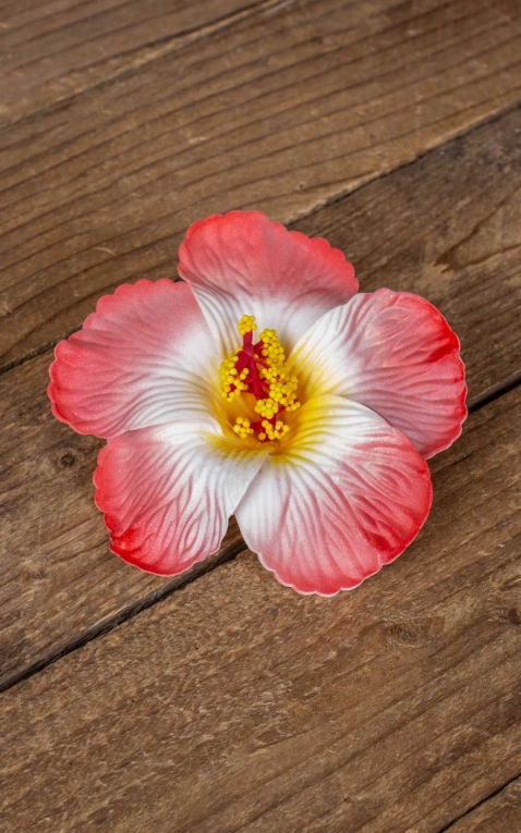 Pince à cheveux hibiscus Fleur dHawaii, rouge