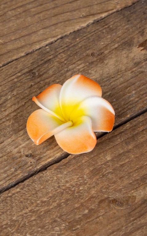 Hair clip Plumeria Hawaii flower, orange