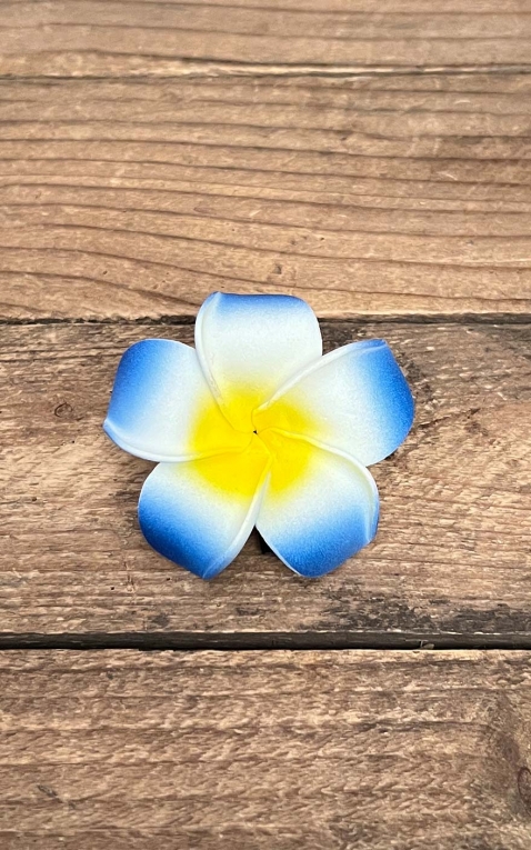 Hair clip Plumeria Hawaii flower, blue