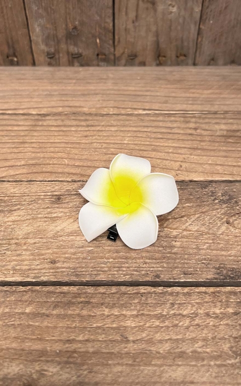 Hair clip Plumeria Hawaii flower, white yellow